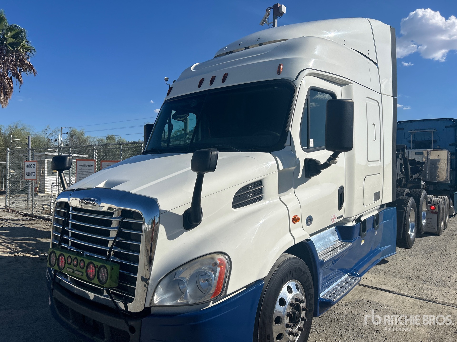 2018 Freightliner CASCADIA 113