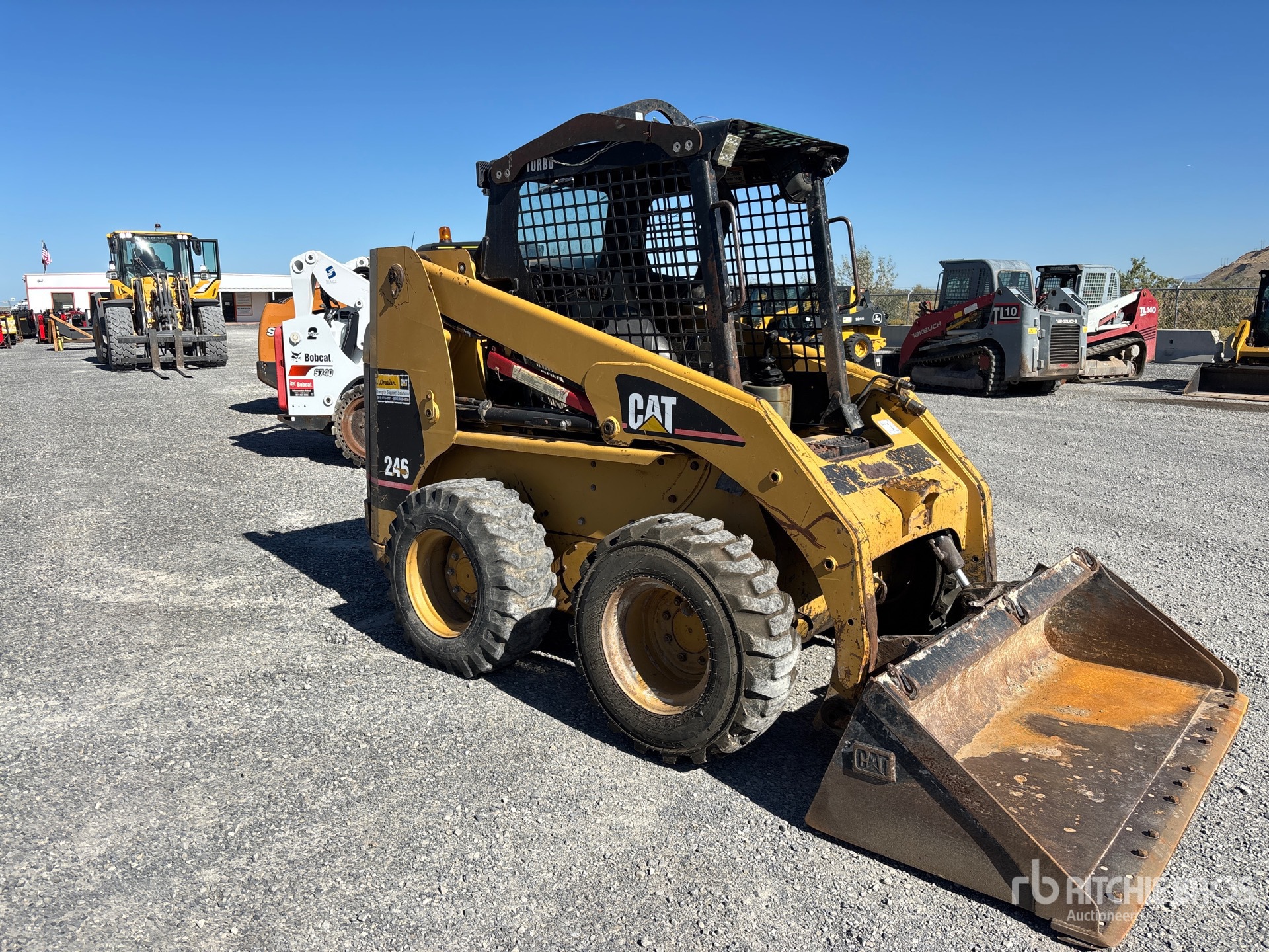 Caterpillar 246
