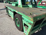 General Appearance with Paint