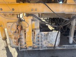 General Appearance with Paint