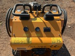 Control Station with