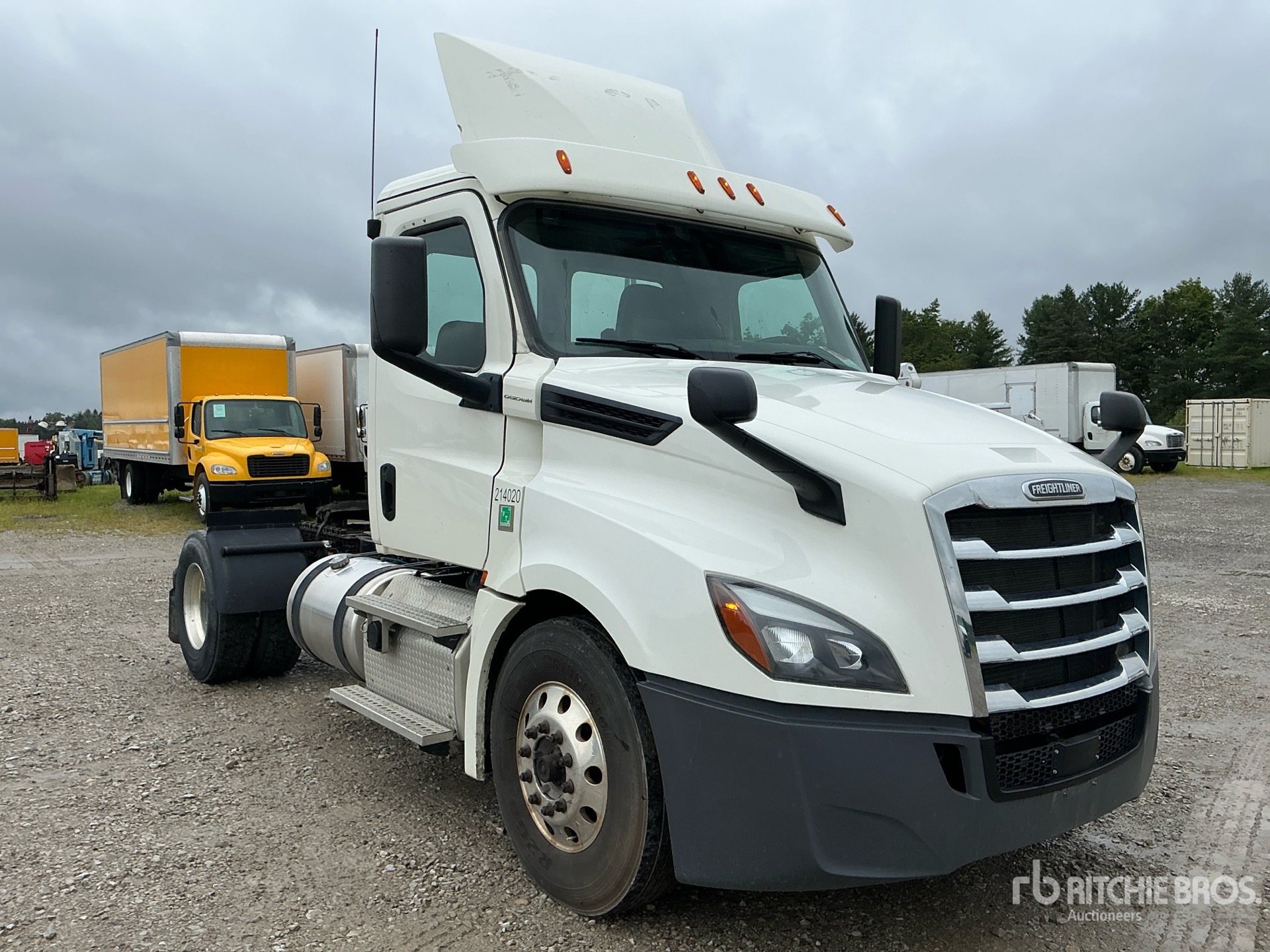2019 Freightliner CASCADIA 126