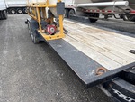 General Appearance with Paint