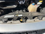 Engine with Radiator