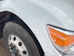 General Appearance with Pintura