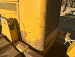 General Appearance with Paint