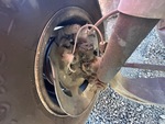 Brakes with