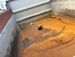 v2 Configuration - Dump Trucks with