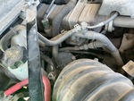 Engine with Exhaust System