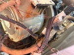 Électrique with