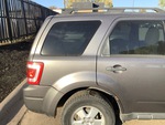 General Appearance with Paint