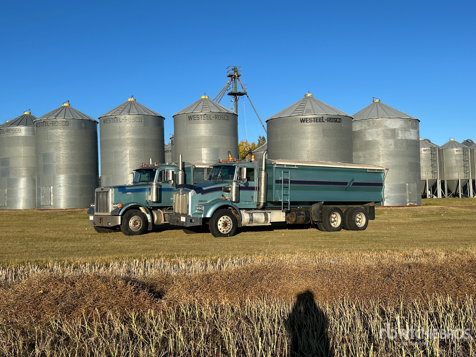 1996 Kenworth T800B