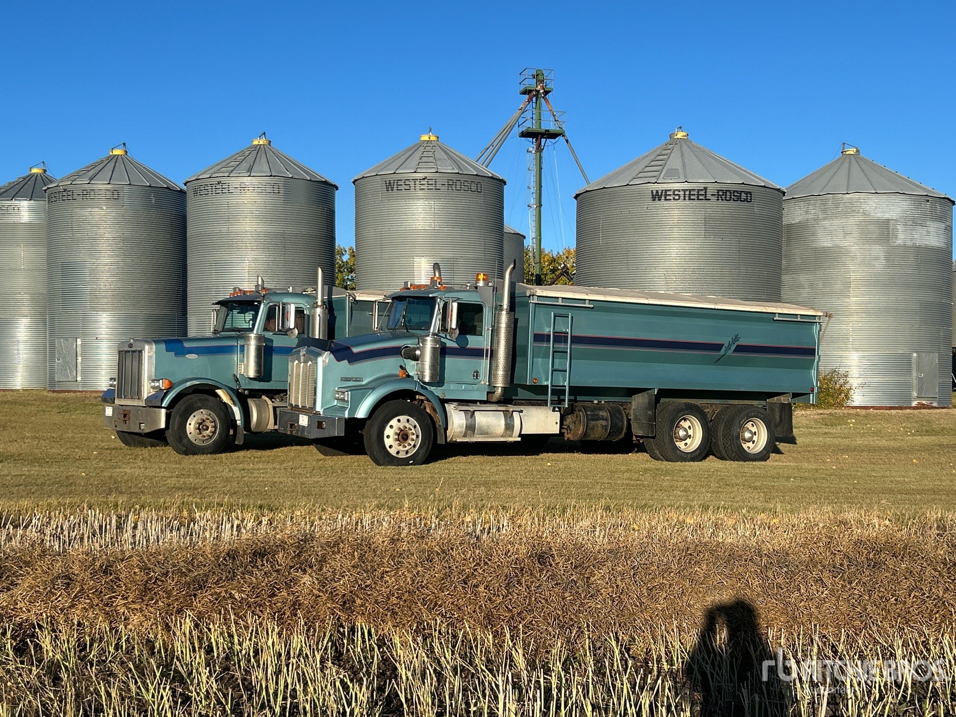 1996 Kenworth T800B