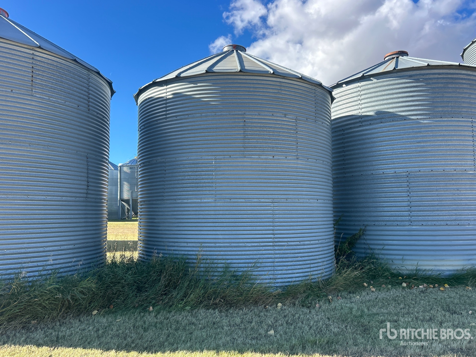 UFA +/- 1650 BU 5 RING
