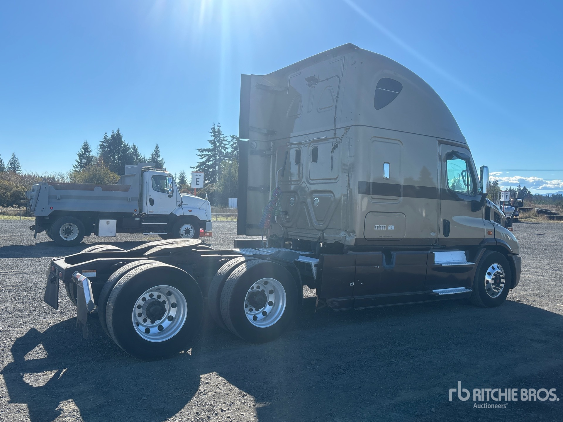 2015 Freightliner CASCADIA 113