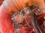 Engine with A/C Compressor
