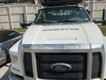 General Appearance with Paint