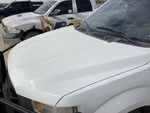 General Appearance with Paint