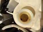Engine with Radiator