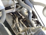 Engine with Exhaust System