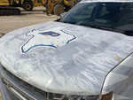 General Appearance with Paint