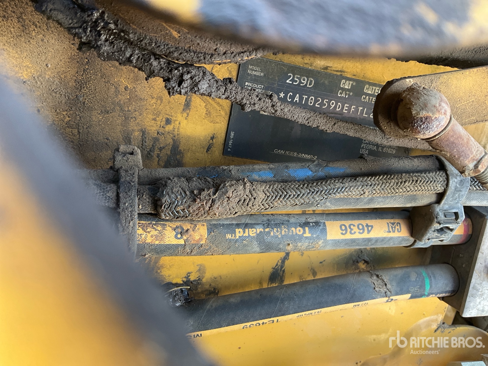 2019 Caterpillar 259D