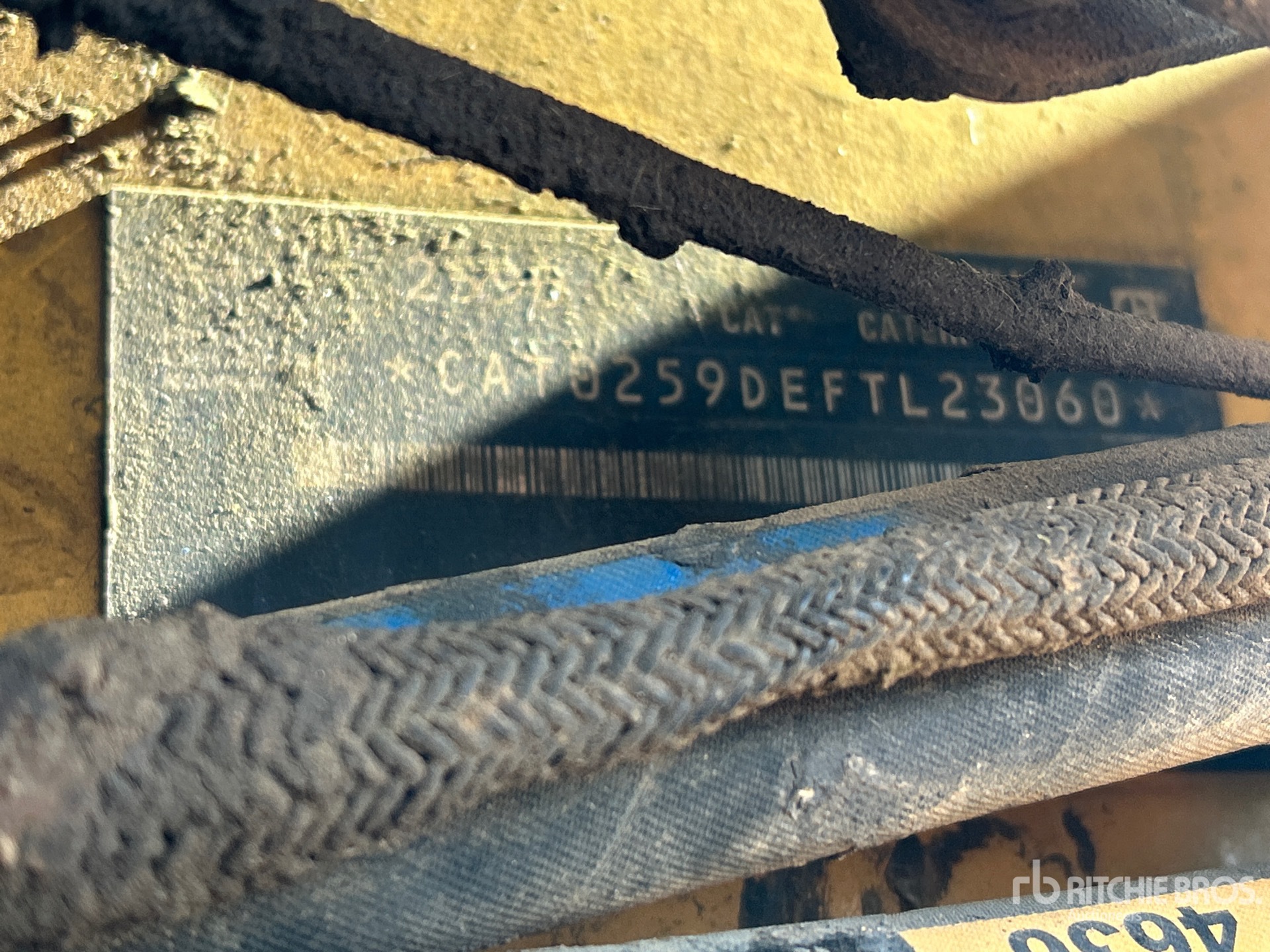 2019 Caterpillar 259D