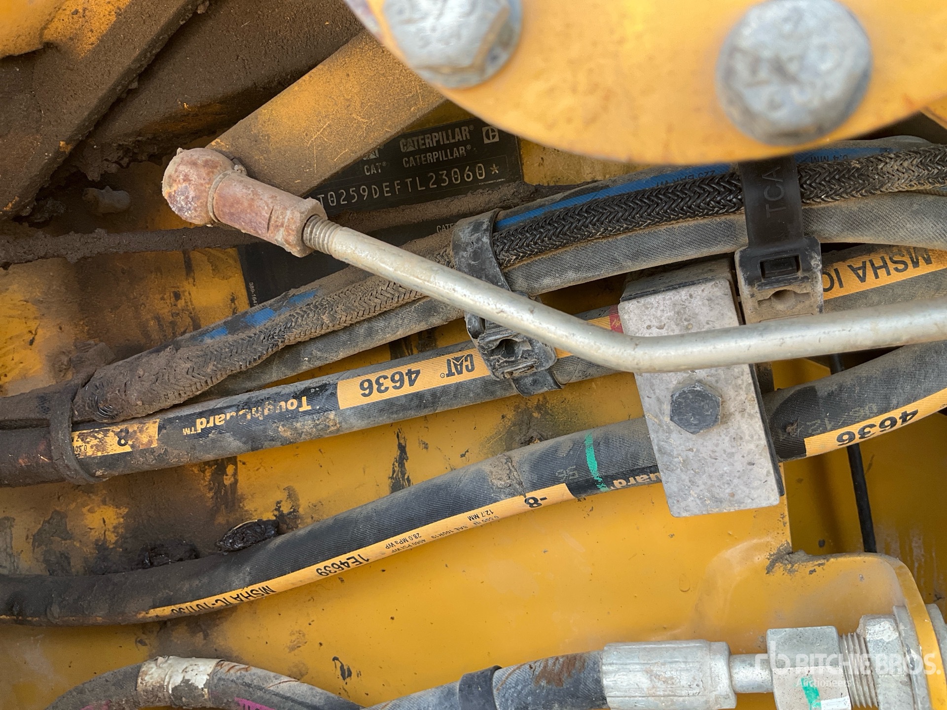 2019 Caterpillar 259D