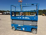 General Appearance with Paint