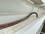 Specialty - Tanker with