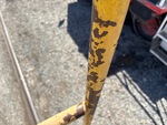 General Appearance with Pintura
