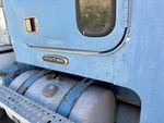 General Appearance with Paint