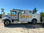 General Appearance with Paint