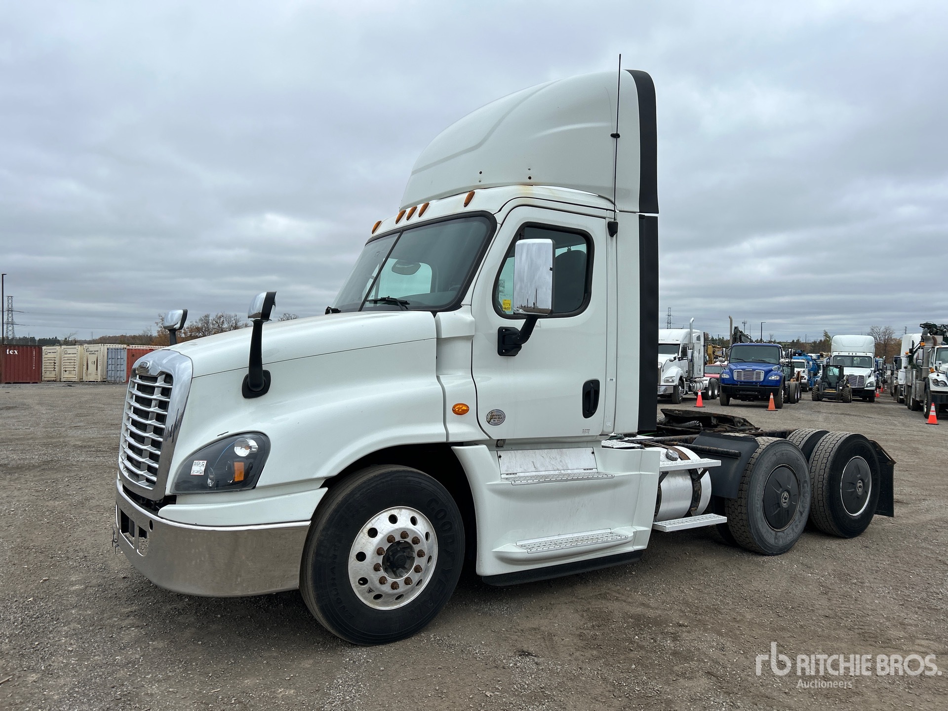 2019 Freightliner CASCADIA 125