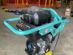 General Appearance with Paint