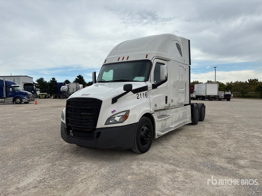General Appearance with Spin