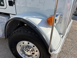 General Appearance with Paint