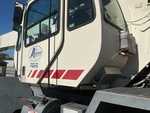 General Appearance with Paint