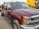 General Appearance with Paint