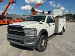 General Appearance with Paint