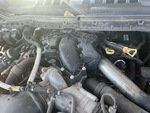 Engine with Exhaust System