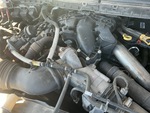 Engine with Fuel System