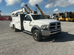 General Appearance with Paint