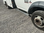General Appearance with Steps/Ladders