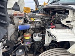 Motore with