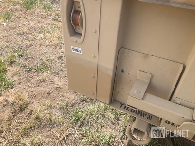 General Appearance with Paint