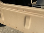 General Appearance with Paint