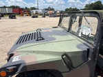 General Appearance with Paint
