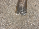Telehandler* with