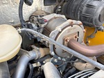 Engine with Exhaust System